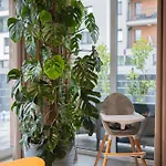Premium Eleven Lejlighed Zator