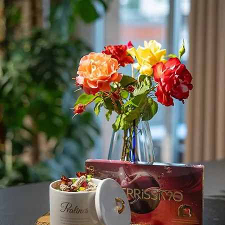 Premium Eleven Lägenhet Zator