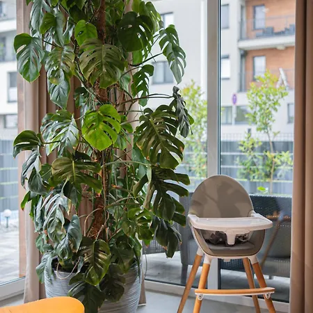 Premium Eleven Apartament Zator