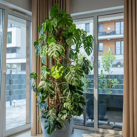 Premium Eleven דירה *