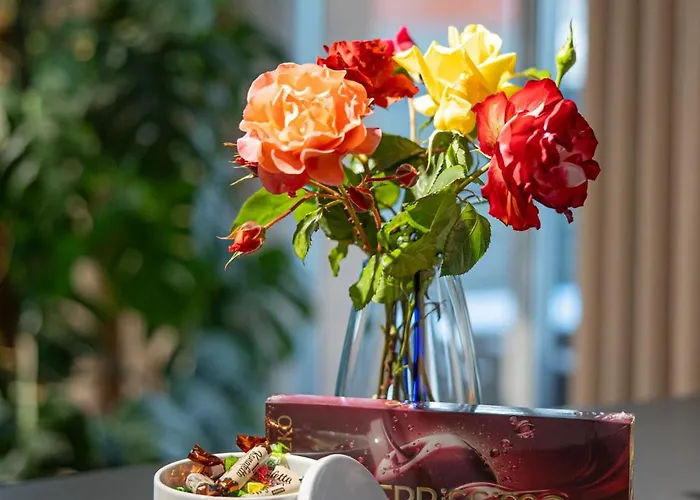 Premium Eleven Appartamento Zator